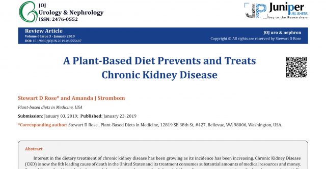 Chronic Kidney Disease – A plant-based diet prevents and treats CKD ...